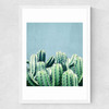 Cactus and Teal Medium White Frame