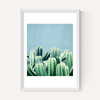 Cactus and Teal