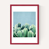Cactus and Teal