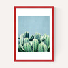 Cactus and Teal