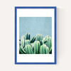 Cactus and Teal