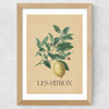 Les Citron Wide Oak Frame
