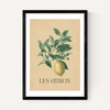 Les Citron