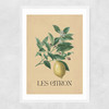 Les Citron Narrow White Frame