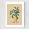 Les Citron Medium White Frame
