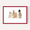 Rabbit Hip Hop