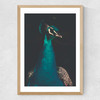 Peacock and Proud Medium Oak Frame
