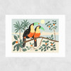 Toucans by Darcie Olley Unframed Print