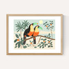 Toucans by Darcie Olley