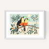 Toucans by Darcie Olley