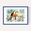 Toucans by Darcie Olley