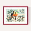 Toucans by Darcie Olley