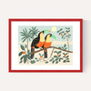 Toucans by Darcie Olley