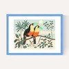 Toucans by Darcie Olley
