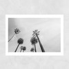 8 Palms Unframed Print