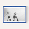 8 Palms