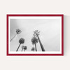 8 Palms