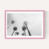 8 Palms