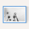 8 Palms