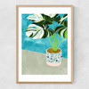 Variegated Monstera