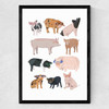 Pigs in Glasses Medium Black Frame