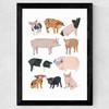 Pigs in Glasses Wide Black Frame
