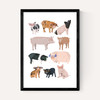 Pigs in Glasses