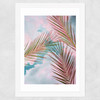 Palms + Sky Wide White Frame