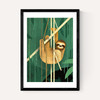 Sloth by Dieter Braun