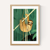 Sloth by Dieter Braun