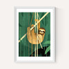 Sloth by Dieter Braun