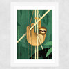 Sloth by Dieter Braun Wide White Frame