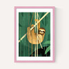 Sloth by Dieter Braun