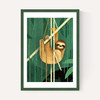 Sloth by Dieter Braun