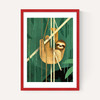 Sloth by Dieter Braun