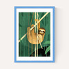 Sloth by Dieter Braun