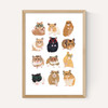 Hamsters in Glasses