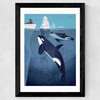 Orcas by Dieter Braun Wide Black Frame