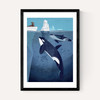 Orcas by Dieter Braun