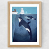 Orcas by Dieter Braun Wide Oak Frame