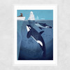 Orcas by Dieter Braun Narrow White Frame