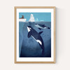 Orcas by Dieter Braun
