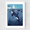Orcas by Dieter Braun Medium White Frame