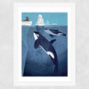 Orcas by Dieter Braun Wide White Frame