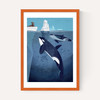 Orcas by Dieter Braun