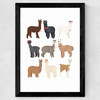 Standing Lamas in Glasses Wide Black Frame