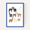 Standing Lamas in Glasses