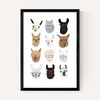 Lamas in Glasses