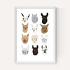 Lamas in Glasses