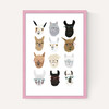 Lamas in Glasses